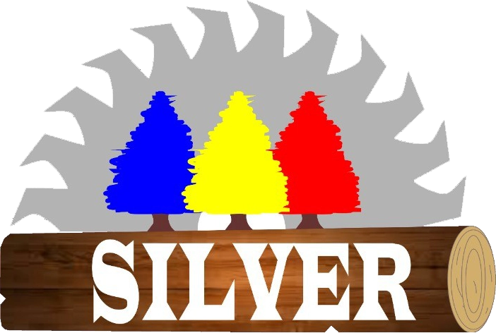 Maderera Silver Logo